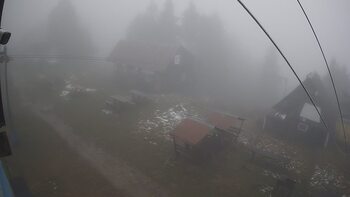 Тростян 21 листопада 2025 року, 2025-11-21 13:00