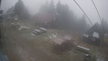 Тростян 21 листопада 2025 року, 2025-11-21 16:00