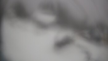 Тростян 22 листопада 2025 року, 2025-11-22 10:00