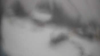 Тростян 22 листопада 2025 року, 2025-11-22 13:00