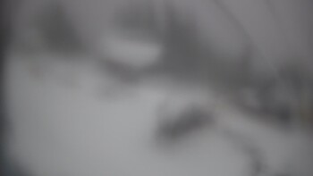 Тростян 22 листопада 2025 року, 2025-11-22 16:00