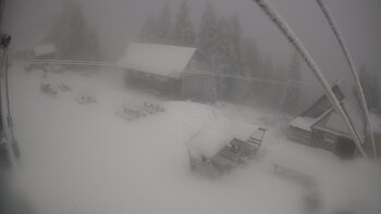 Тростян 23 листопада 2025 року, 2025-11-23 10:00