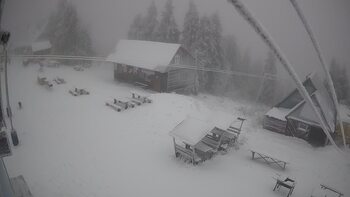 Тростян 23 листопада 2025 року, 2025-11-23 13:00