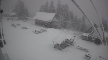 Тростян 23 листопада 2025 року, 2025-11-23 16:00