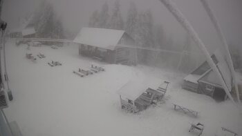 Тростян 24 листопада 2025 року, 2025-11-24 10:00