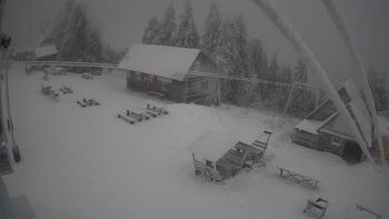 Тростян 24 листопада 2025 року, 2025-11-24 13:00