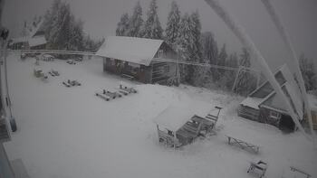 Тростян 24 листопада 2025 року, 2025-11-24 16:00