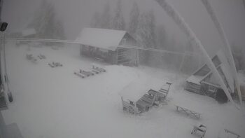 Тростян 25 листопада 2025 року, 2025-11-25 10:00