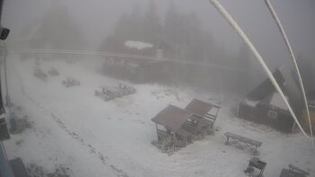 Тростян 28 листопада 2025 року, 2025-11-28 10:00