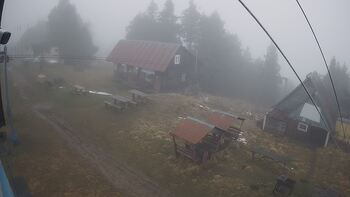 Тростян 11 грудня 2025 року, 2025-12-11 13:00