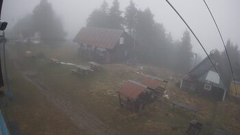 Тростян 11 грудня 2025 року, 2025-12-11 16:00