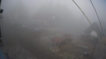 Тростян 13 грудня 2025 року, 2025-12-13 10:00