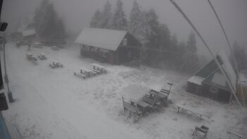 Тростян 14 грудня 2025 року, 2025-12-14 13:00