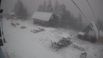 Тростян 14 грудня 2025 року, 2025-12-14 16:00