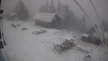 Тростян 15 грудня 2025 року, 2025-12-15 16:00