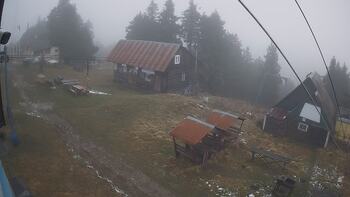 Тростян 19 грудня 2025 року, 2025-12-19 16:00