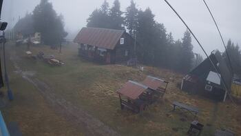 Тростян 20 грудня 2025 року, 2025-12-20 10:00