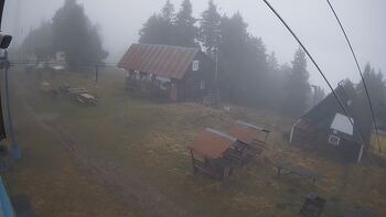 Тростян 21 грудня 2025 року, 2025-12-21 10:00