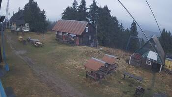 Тростян 21 грудня 2025 року, 2025-12-21 16:00