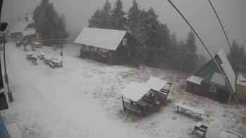 Тростян 23 грудня 2025 року, 2025-12-23 10:00