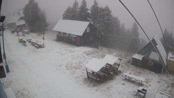 Тростян 23 грудня 2025 року, 2025-12-23 13:00