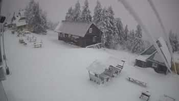 Тростян 1 січня 2026 року, 2026-01-01 10:00