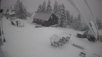 Тростян 1 січня 2026 року, 2026-01-01 13:00