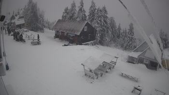 Тростян 3 січня 2026 року, 2026-01-03 13:00