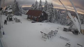 Triostjan 4 styczeń 2026 rok 16:00