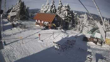 Triostjan 5 styczeń 2026 rok 13:00