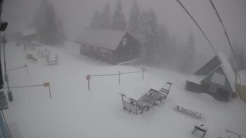 Triostjan 6 styczeń 2026 rok 10:00