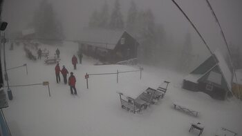 Triostjan 6 styczeń 2026 rok 13:00