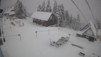 Тростян 8 січня 2026 року, 2026-01-08 10:00