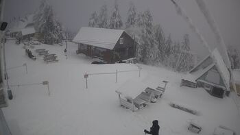 Тростян 10 січня 2026 року, 2026-01-10 10:00