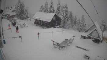 Тростян 11 січня 2026 року, 2026-01-11 13:00