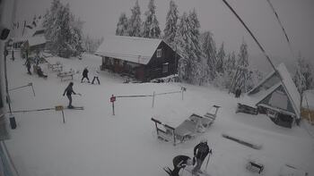 Тростян 11 січня 2026 року, 2026-01-11 16:00