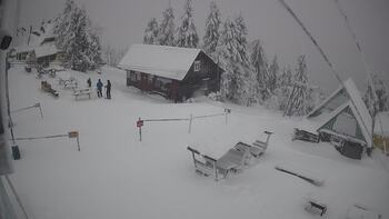 Тростян 12 січня 2026 року, 2026-01-12 10:00