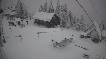 Trostian 12 january 2026 year, 2026-01-12 16:00