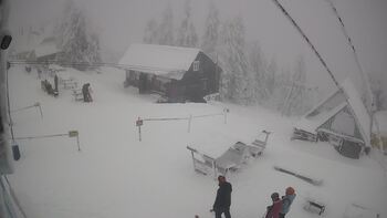 Тростян 14 січня 2026 року, 2026-01-14 13:00