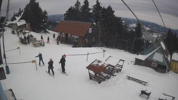 Тростян 22 січня 2026 року, 2026-01-22 13:00