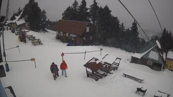 Тростян 23 січня 2026 року, 2026-01-23 13:00