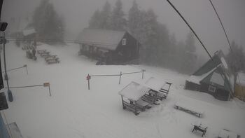 Тростян 24 січня 2026 року, 2026-01-24 10:00