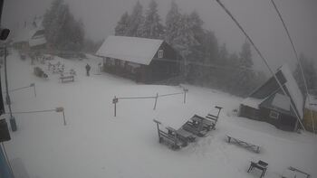 Тростян 29 січня 2026 року, 2026-01-29 10:00