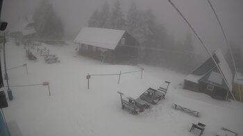 Тростян 29 січня 2026 року, 2026-01-29 13:00