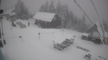 Тростян 30 січня 2026 року, 2026-01-30 13:00