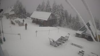 Тростян 31 січня 2026 року, 2026-01-31 10:00