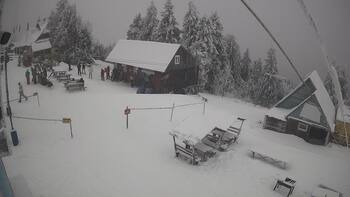 Тростян 31 січня 2026 року, 2026-01-31 13:00