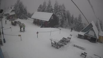 Тростян 31 січня 2026 року, 2026-01-31 16:00