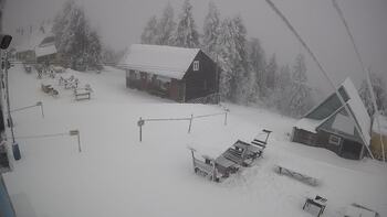 Тростян 3 лютого 2026 року, 2026-02-03 10:00