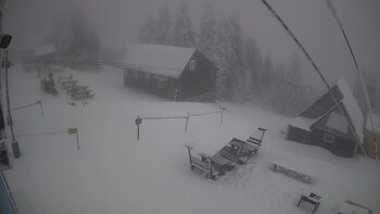 Тростян 3 лютого 2026 року, 2026-02-03 13:00